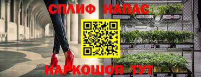 прущая мука Брянск