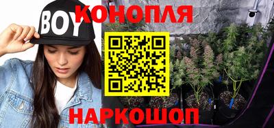дживик Владимир