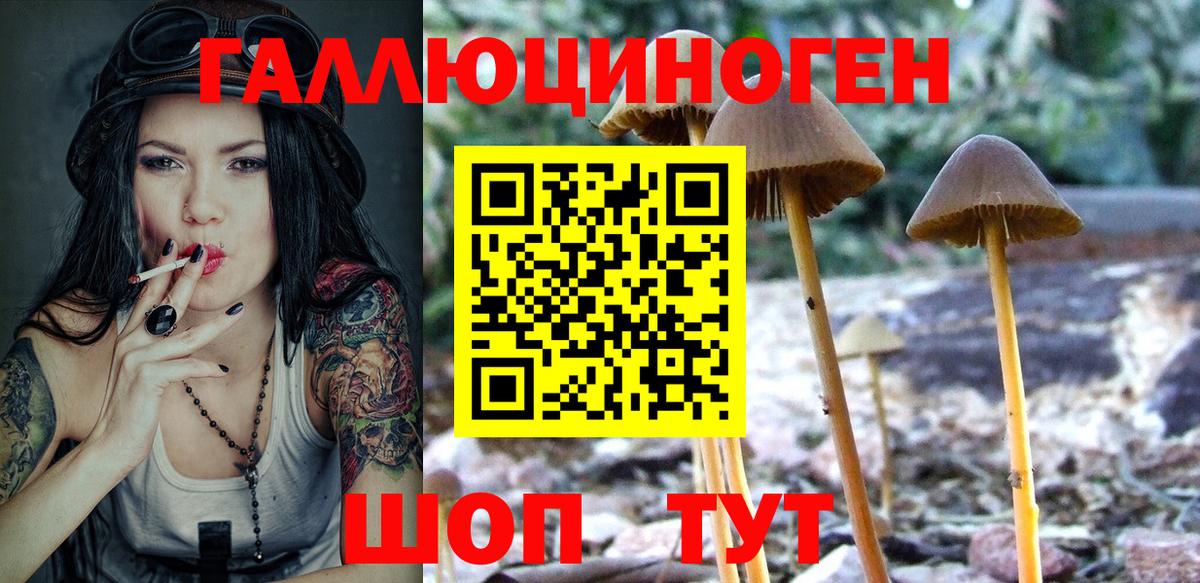 Галлюциногенные грибы прущие грибы  Вход с VPN  Ростов-на-Дону  продажа наркотиков  Галлюциногенные грибы Psilocybe 